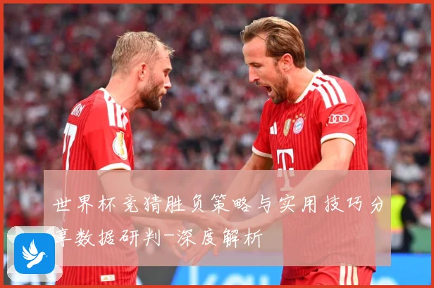 世界杯竞猜胜负策略与实用技巧分享数据研判-深度解析