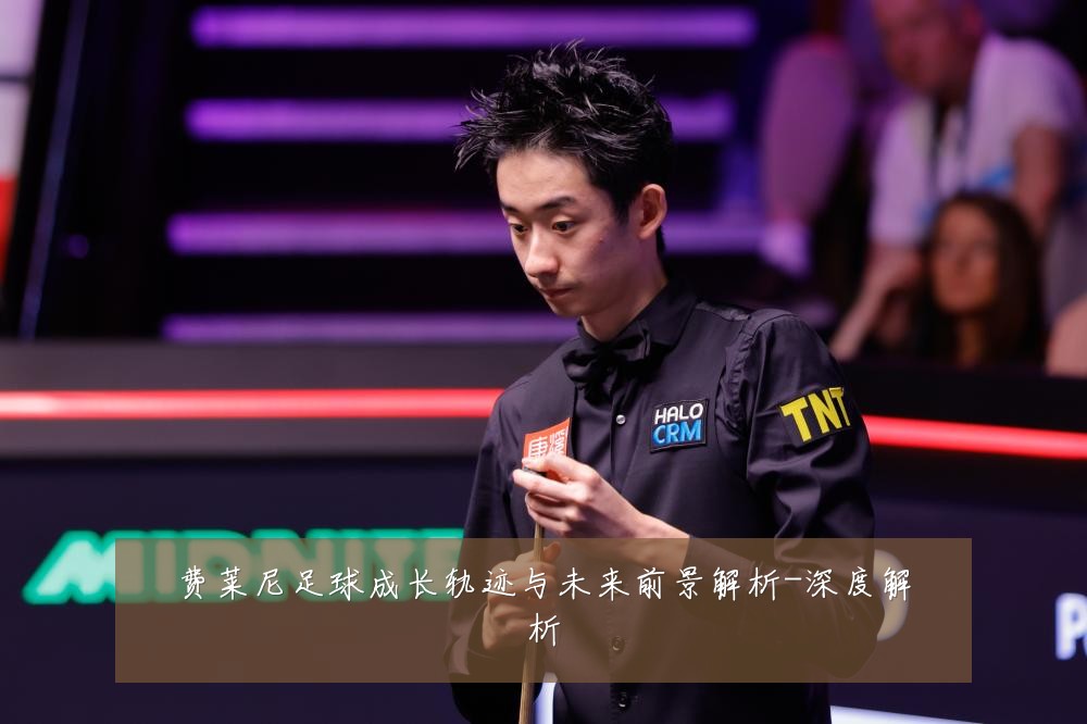 费莱尼足球成长轨迹与未来前景解析-深度解析